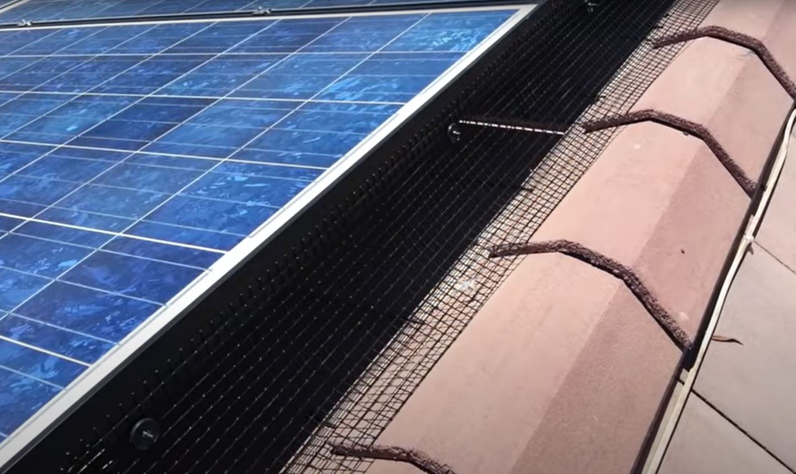 preventing birds under solar panels with mesh barrier