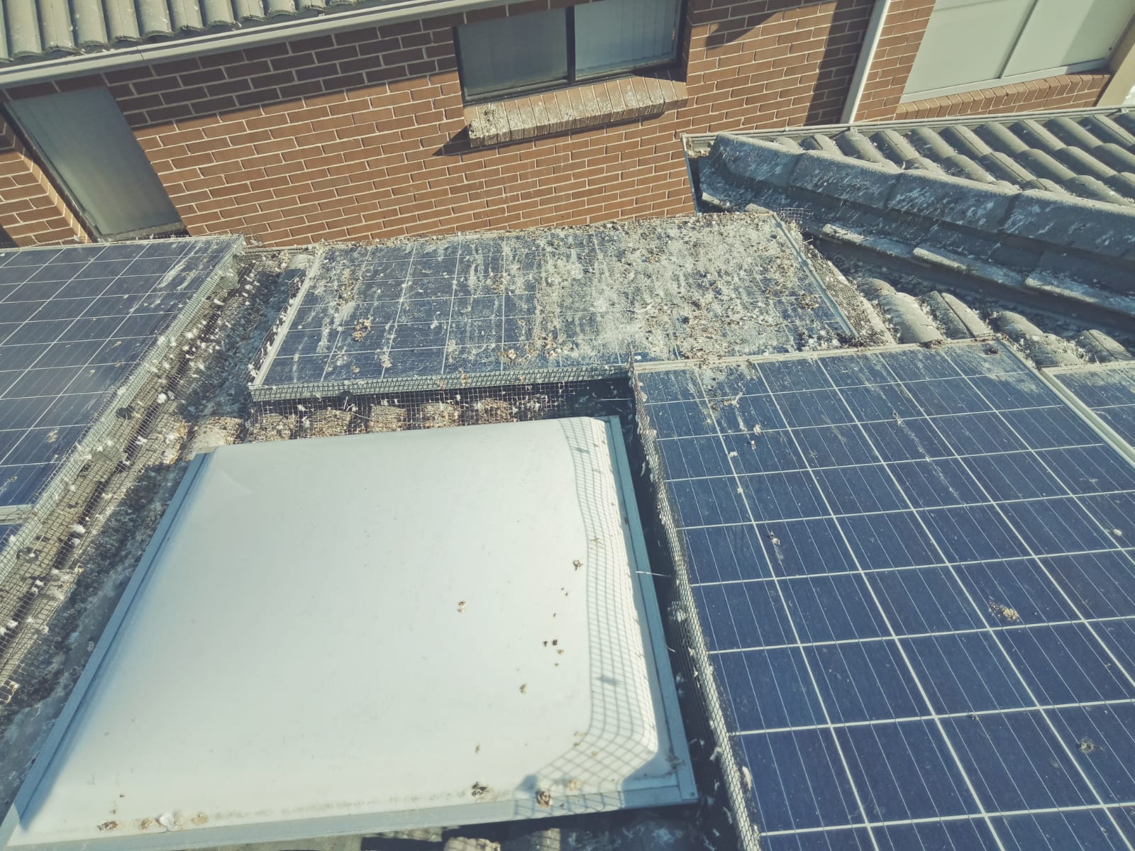solar installation service for sustainable energy homes