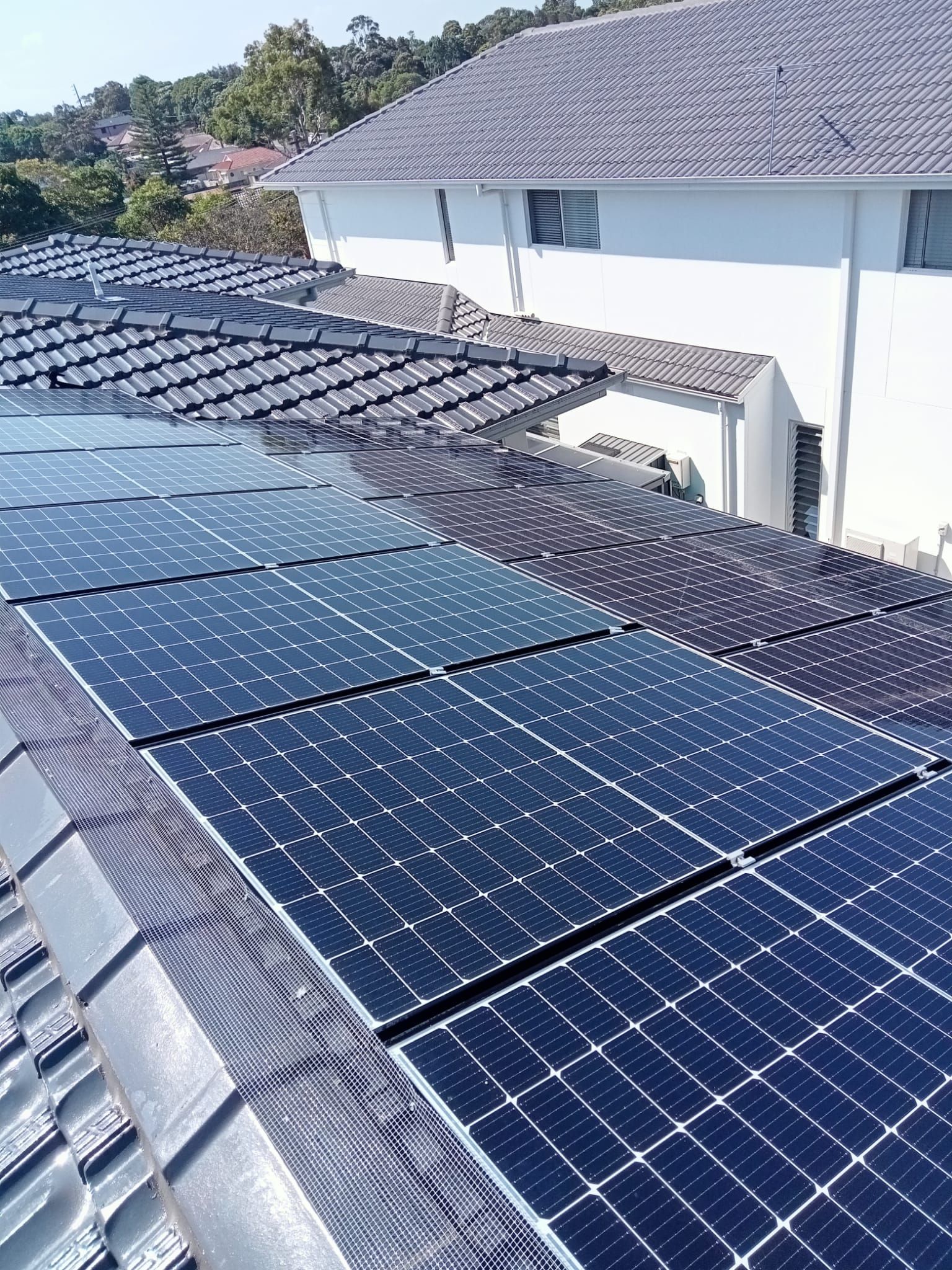 optimized solar panel efficiency after bird removal