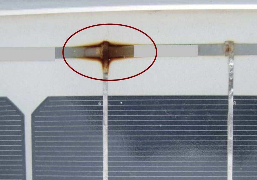 bird mess removed from solar panels after service