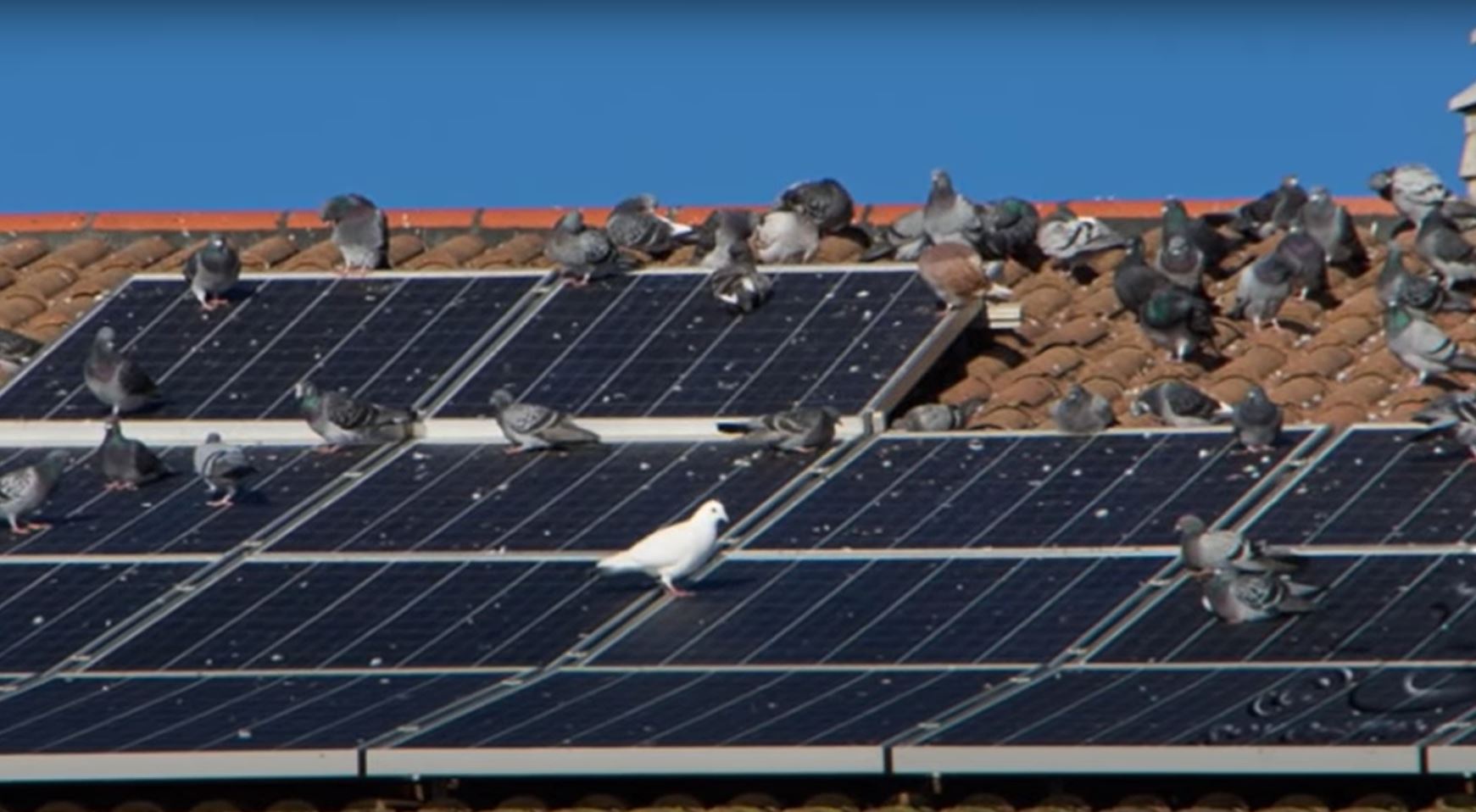 high pressure cleaning for solar panels on roof