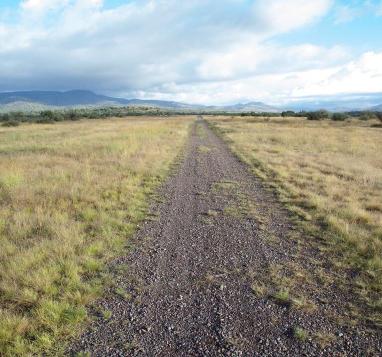 A dirt road going through a grassy field with mountains in the background