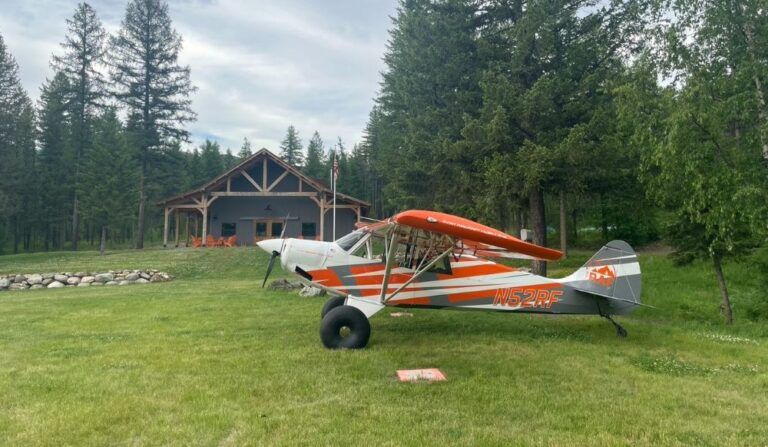 A small plane is parked in a grassy field in front of a house.