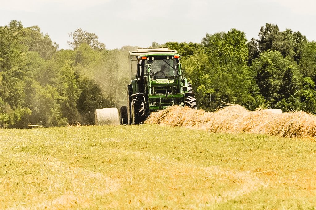 Cohen Farm A Family Farm In Pittsboro, North Carolina