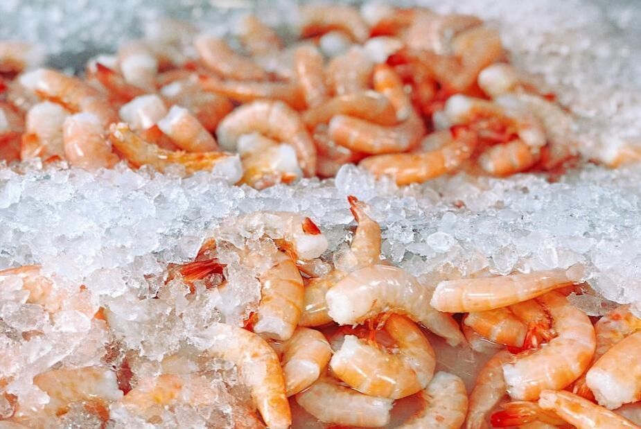 Seafood