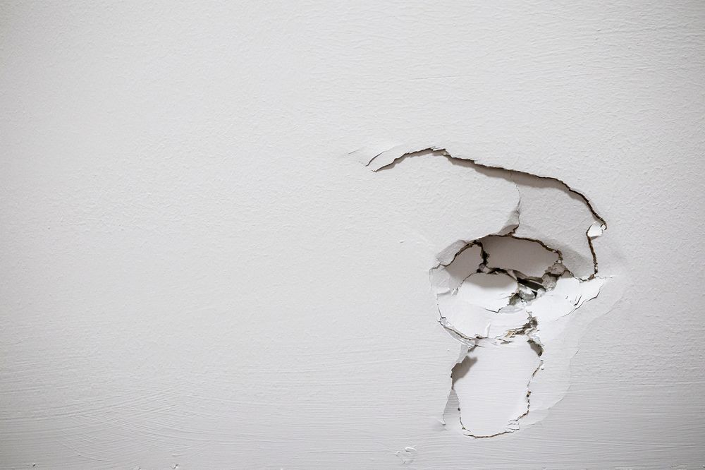 Showing Damaged Drywall — Patch Plaster Paint in Johnston, NT