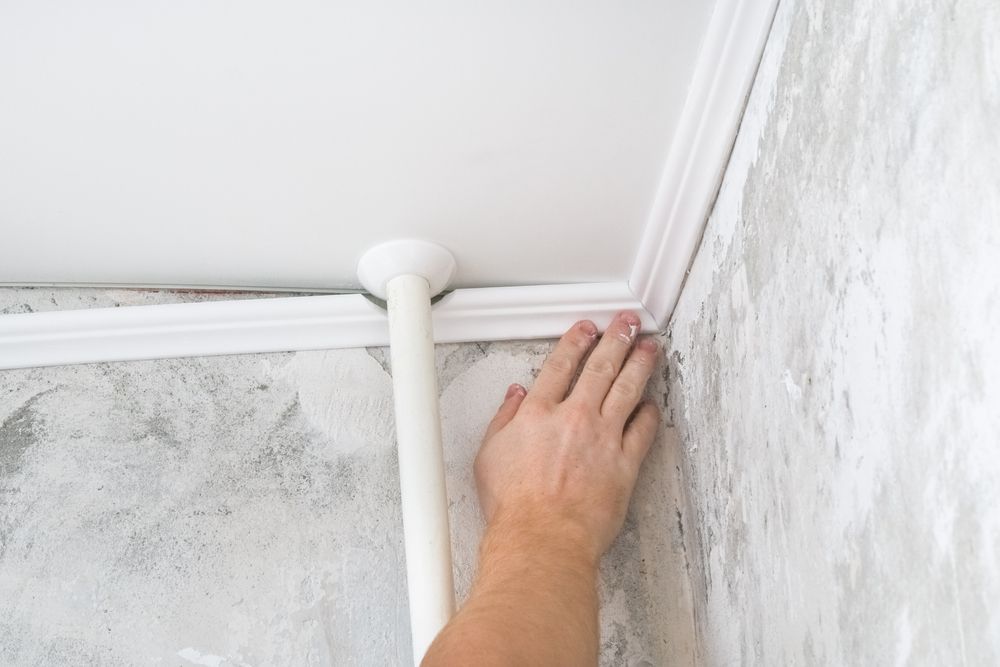 Hand Installing White Crown Molding — Patch Plaster Paint in Johnston, NT