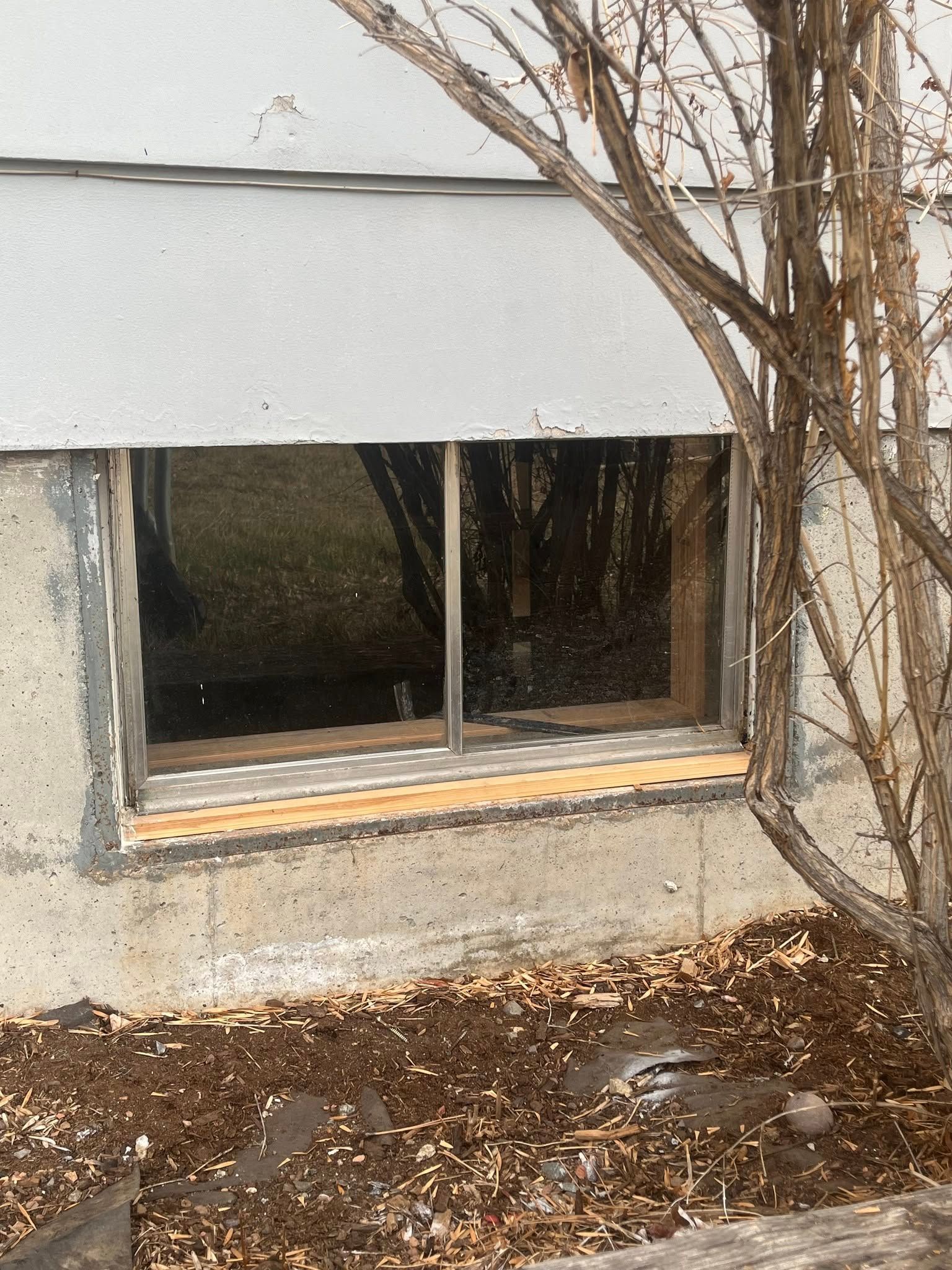 Basement window on a white exterior wall with leafless tree branches and fallen leaves nearby
