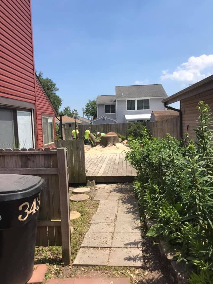 Narrow backyard path leading to a wooden gate, with red house siding and green hedges under a blue sky