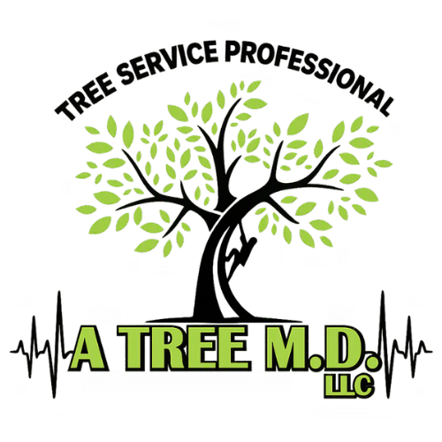 A Tree M.D. logo