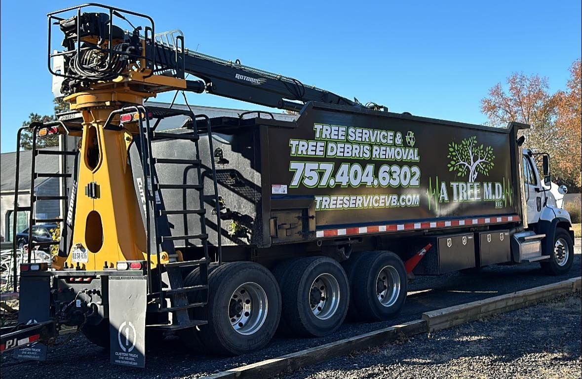 Black utility truck with a boom arm parked outdoors, branded for tree service with large contact number.