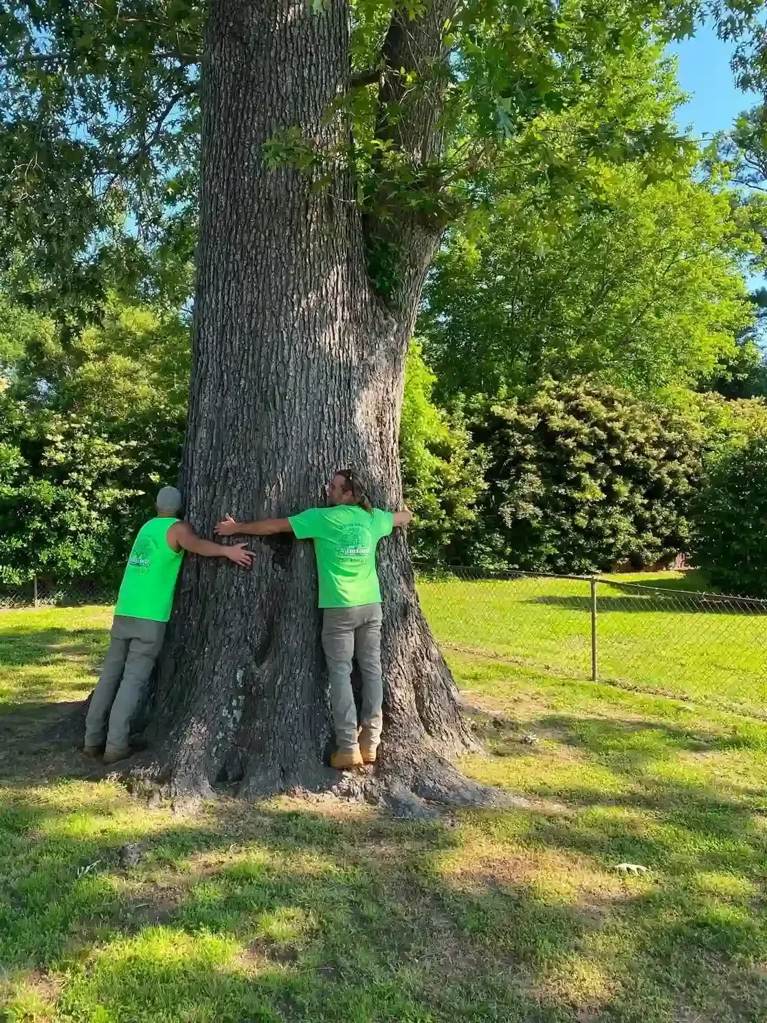 Two people in green shirts hug a large tree in a sunny park.