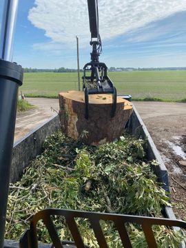 Hydraulic excavator lifting brush-filled bucket beside a field under a blue sky