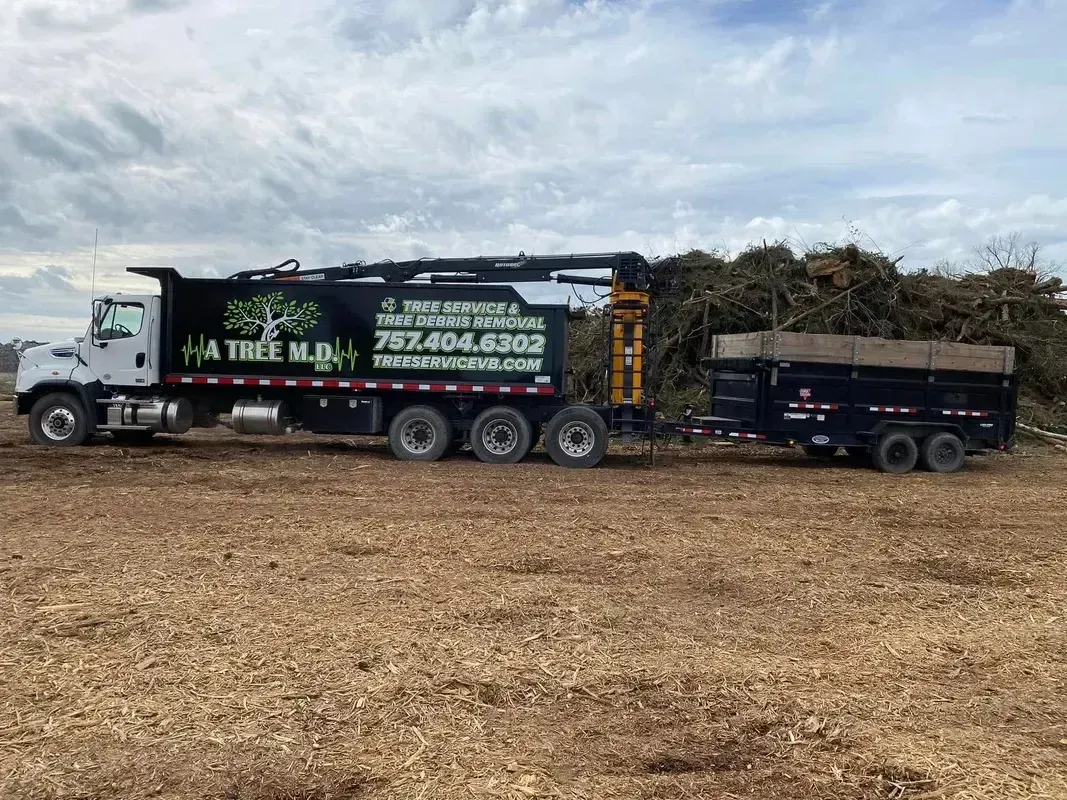 Landscape of a black-and-green dump truck towing a trailer in a field under a cloudy sky