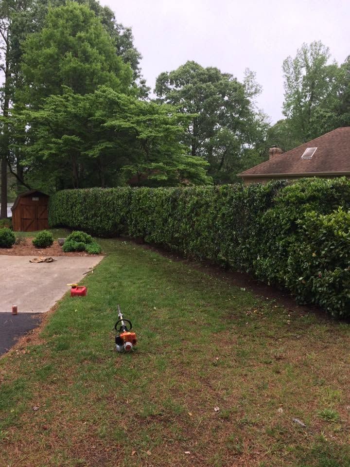 Backyard lawn with hedges, trees, patio, and a small toy trimmer on the grass.