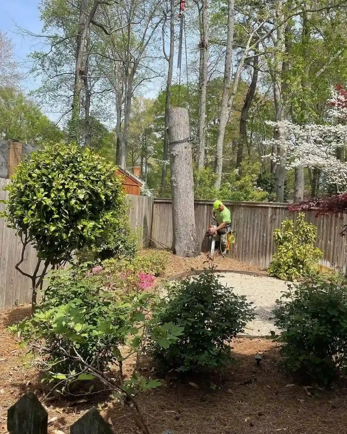 Person in a bright shirt in a wooded backyard near a fence and gravel path