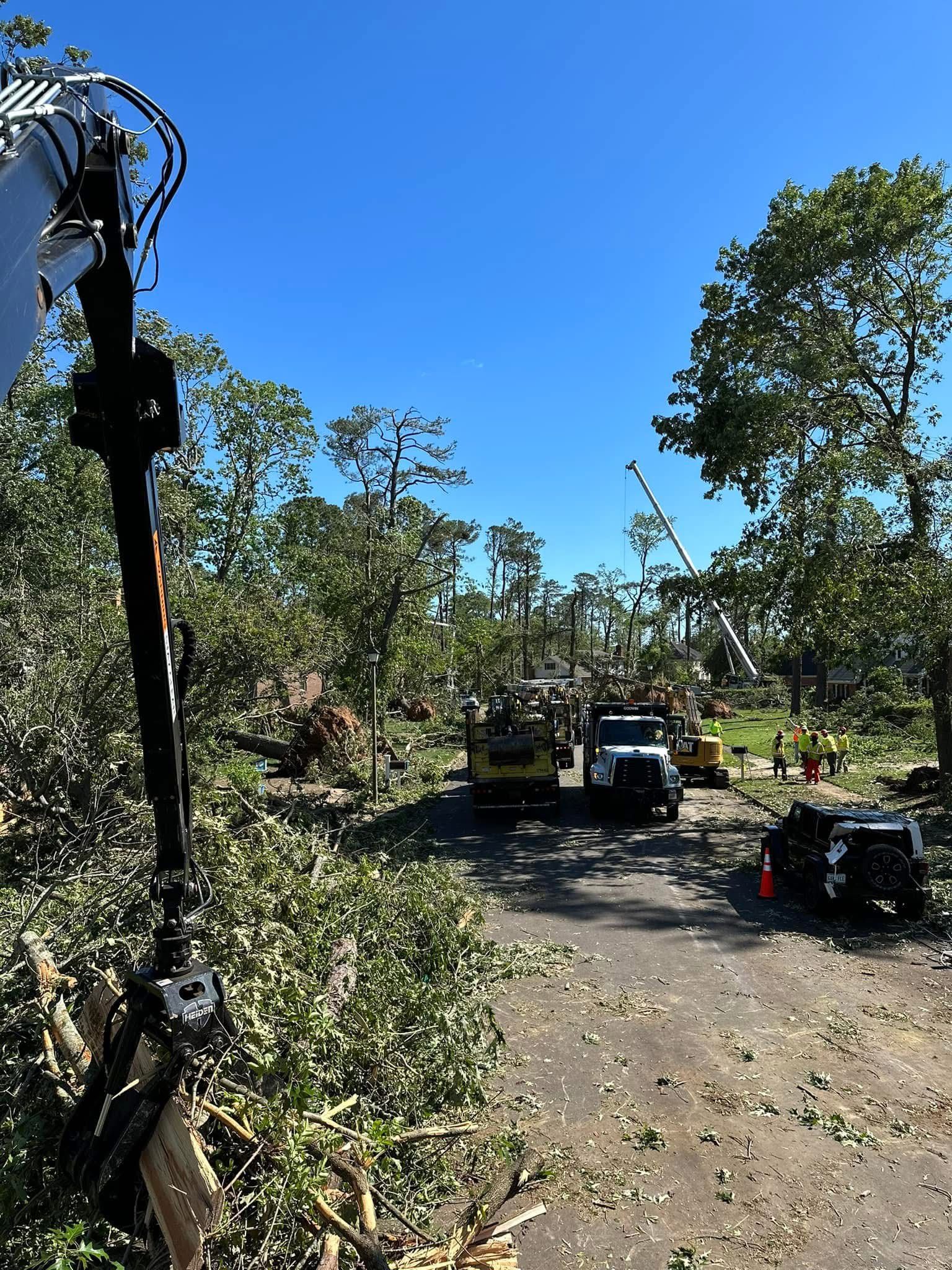 Sunlit dirt road lined with trees, with parked vehicles and a worker clearing debris.