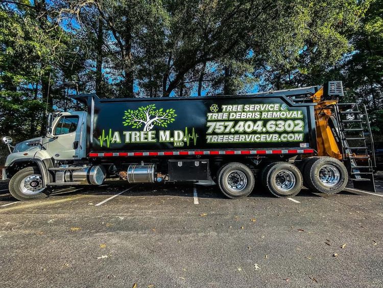 Tree service truck parked outdoors, with green logo, phone number, and a dump bed in front of trees.