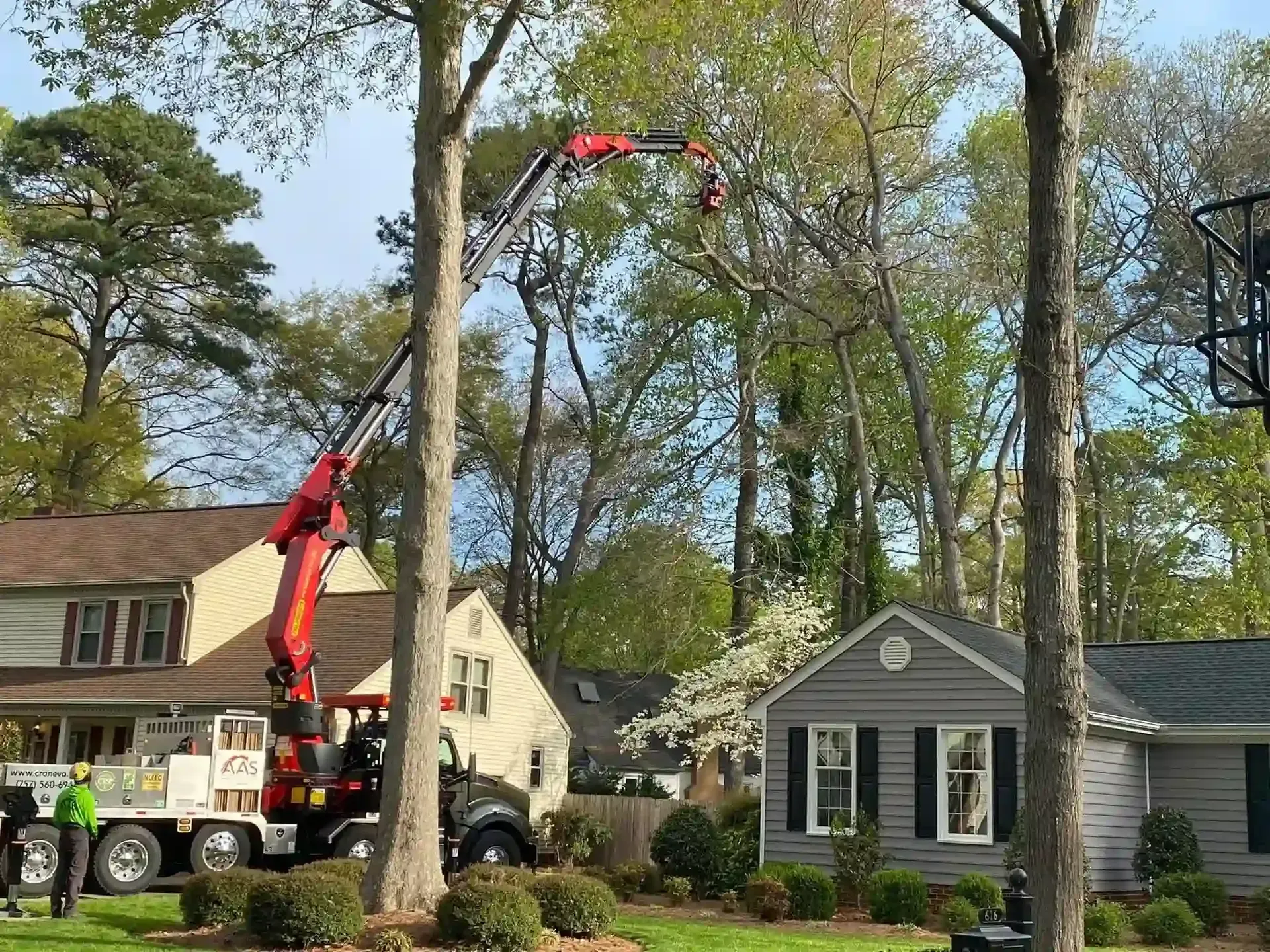 Red crane truck lifting a large tree limb over houses in a residential neighborhood
