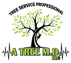 A Tree M.D. LLC logo with a black tree, green leaves, and heartbeat line accents, labeled “Tree Service Professional”