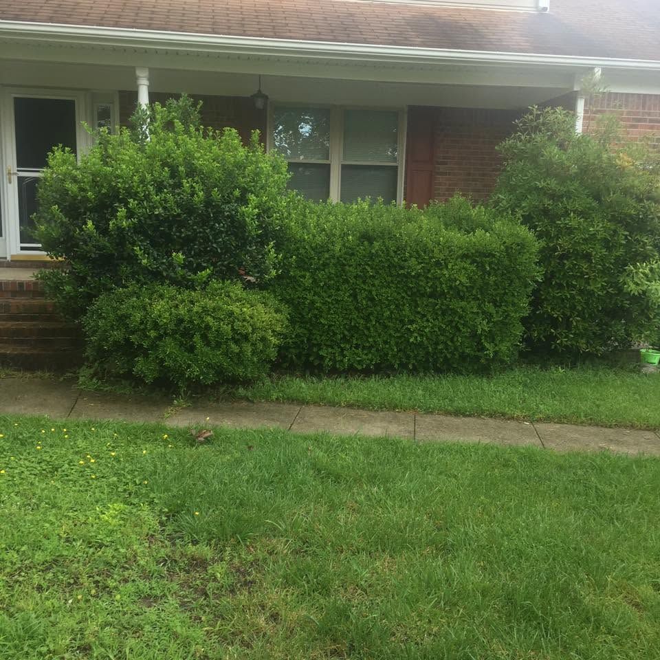 Front yard with green shrubs and lawn in front of a brick house