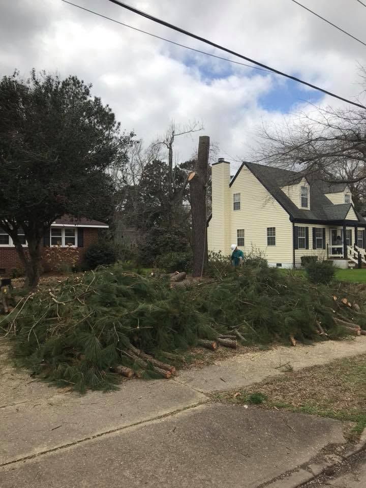 Storm debris piled along a sidewalk in a residential neighborhood, with a broken tree trunk and fallen branches.