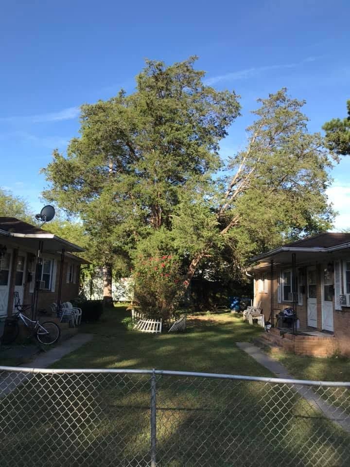 Backyard between two houses, with a chain-link fence, large trees, and a grassy courtyard under a blue sky.