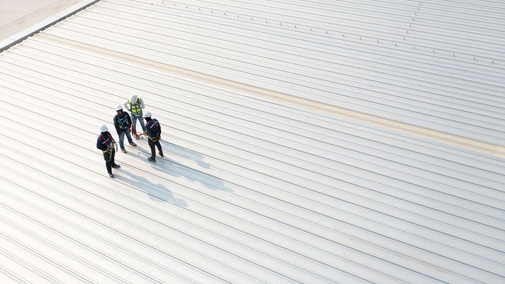 Four Workers on a Light-colored Rooftop — Vision Roofing Fascia & Gutter in Maryborough, QLD
