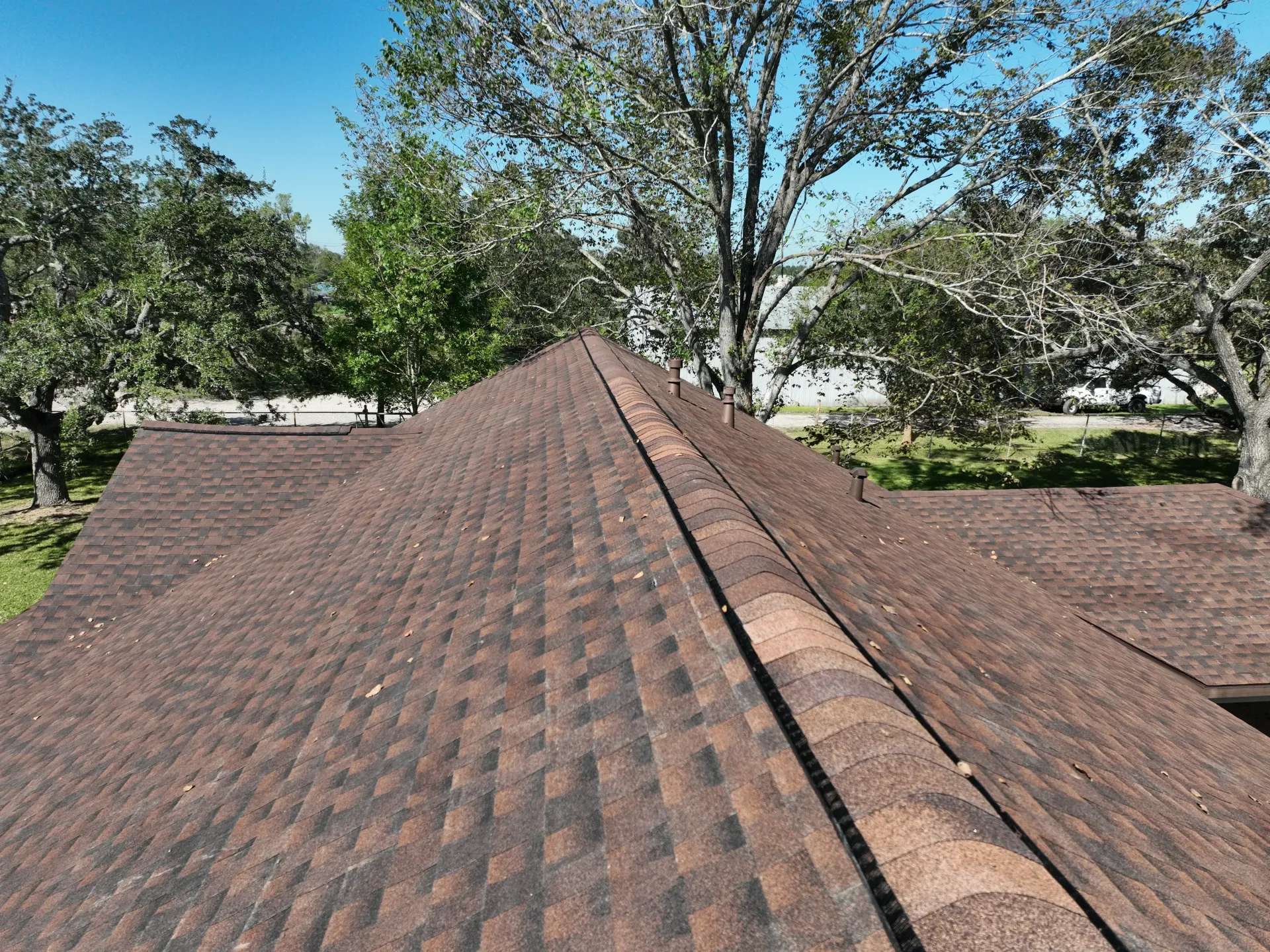 Brown asphalt shingle roof on a building, seen from above. Trees and blue sky in the background. — Vision Roofing Fascia & Gutter in River Heads, QLD