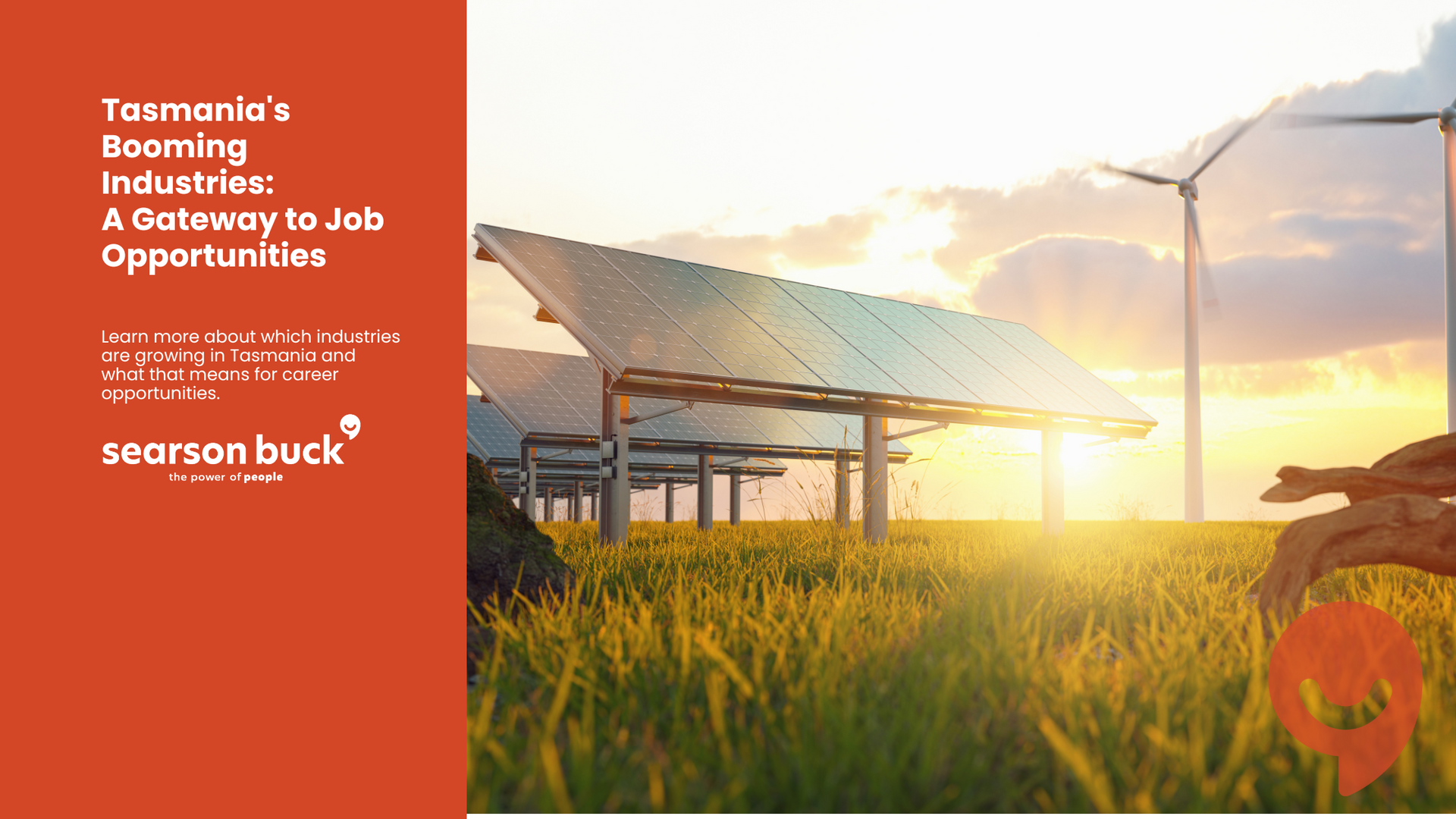 Solar panels and wind turbines at sunrise, promoting Tasmanian job opportunities.