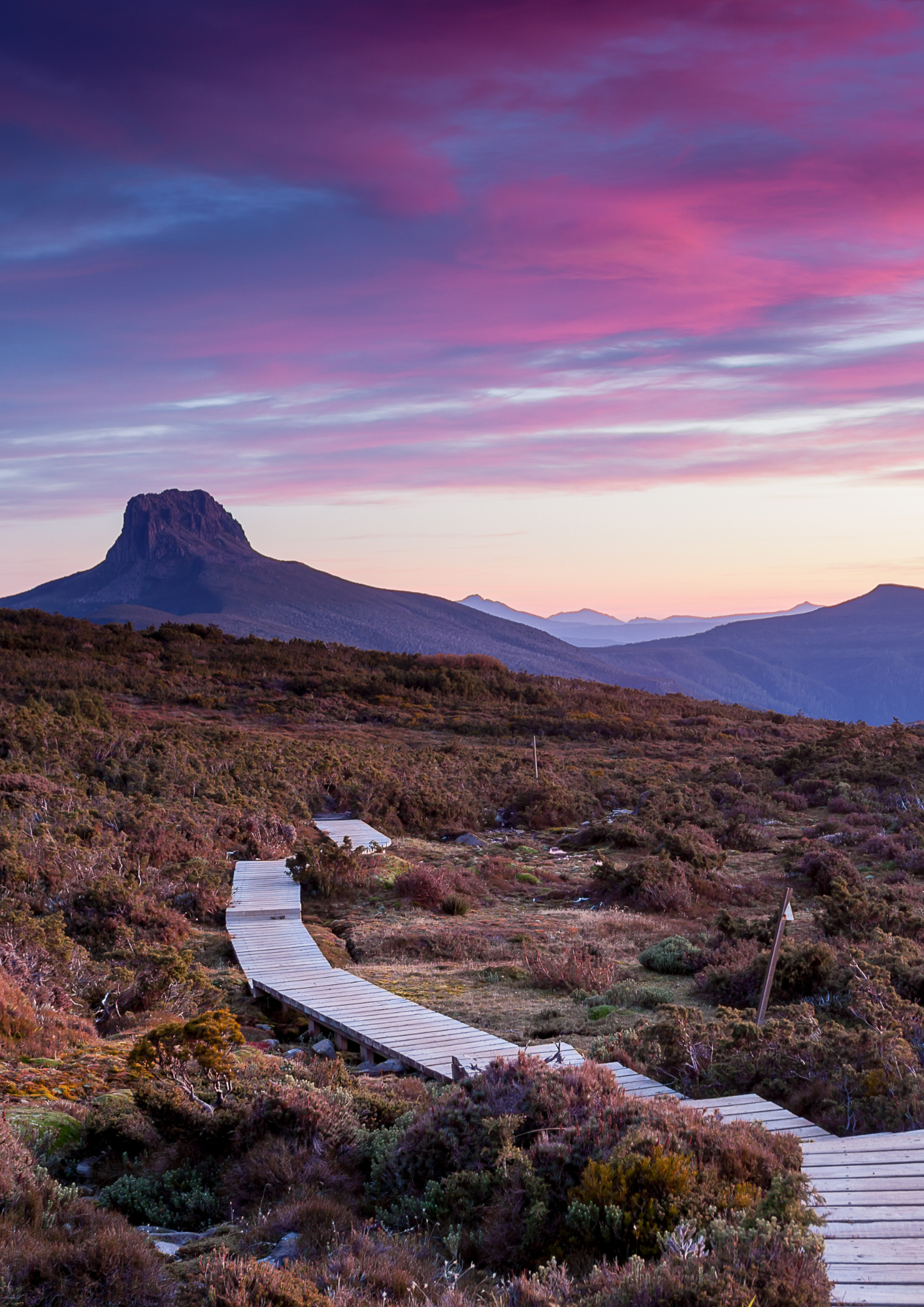 Wooden boardwalk through a mountain landscape at sunset with vibrant pink and purple clouds.Tasmanian landscape