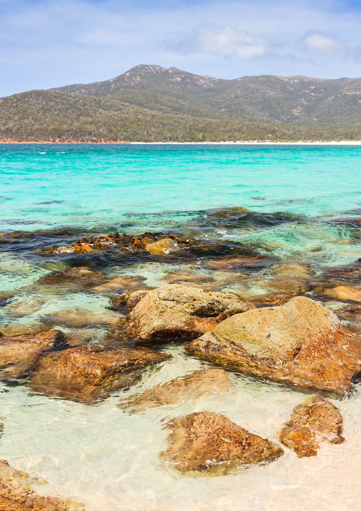 Rocky coastline with turquoise water and a forested mountain under a blue sky. Tasmanian landscape