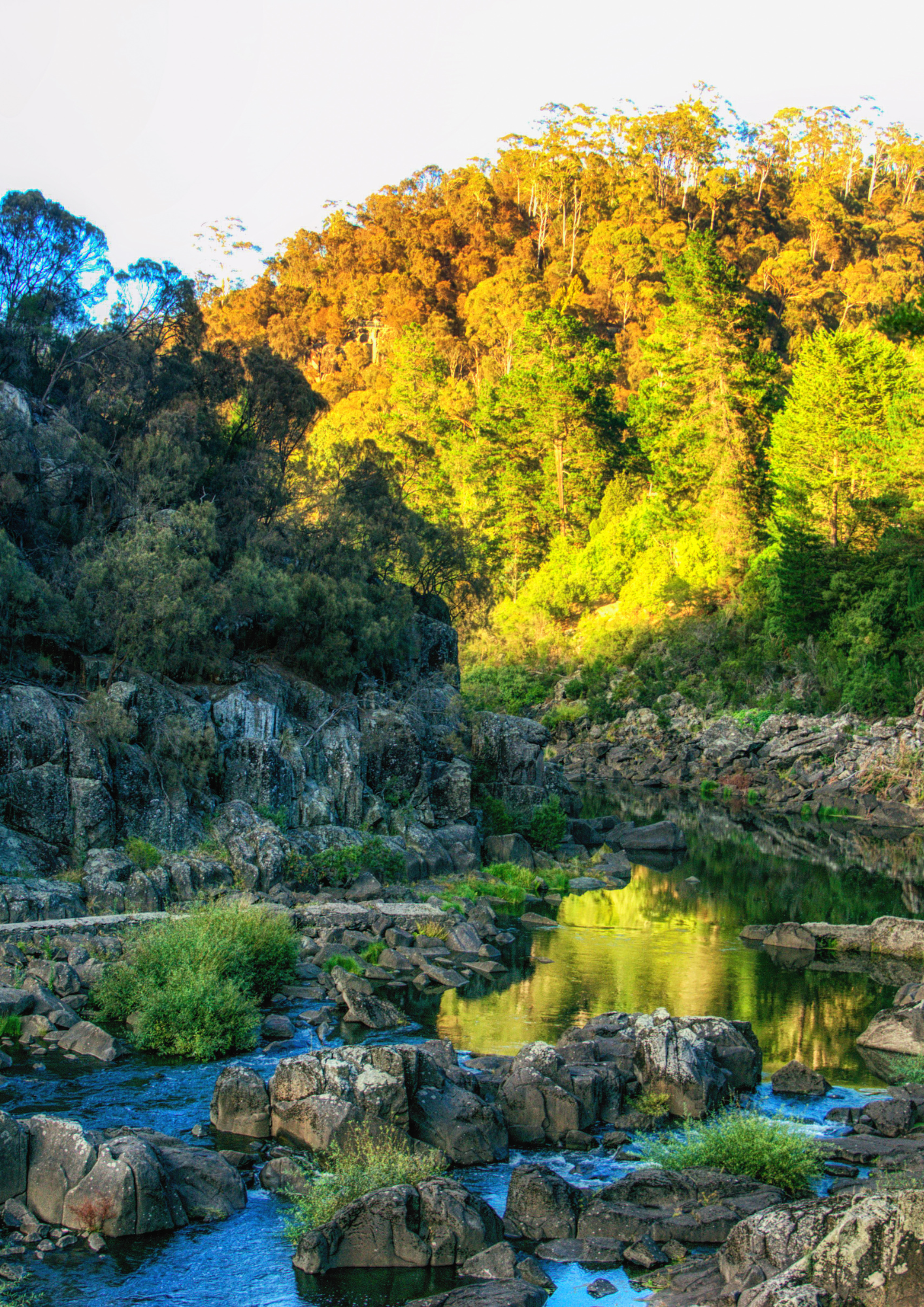 Rocky river through a forest bathed in sunlight. Reflections in water. Tasmanian Landscape