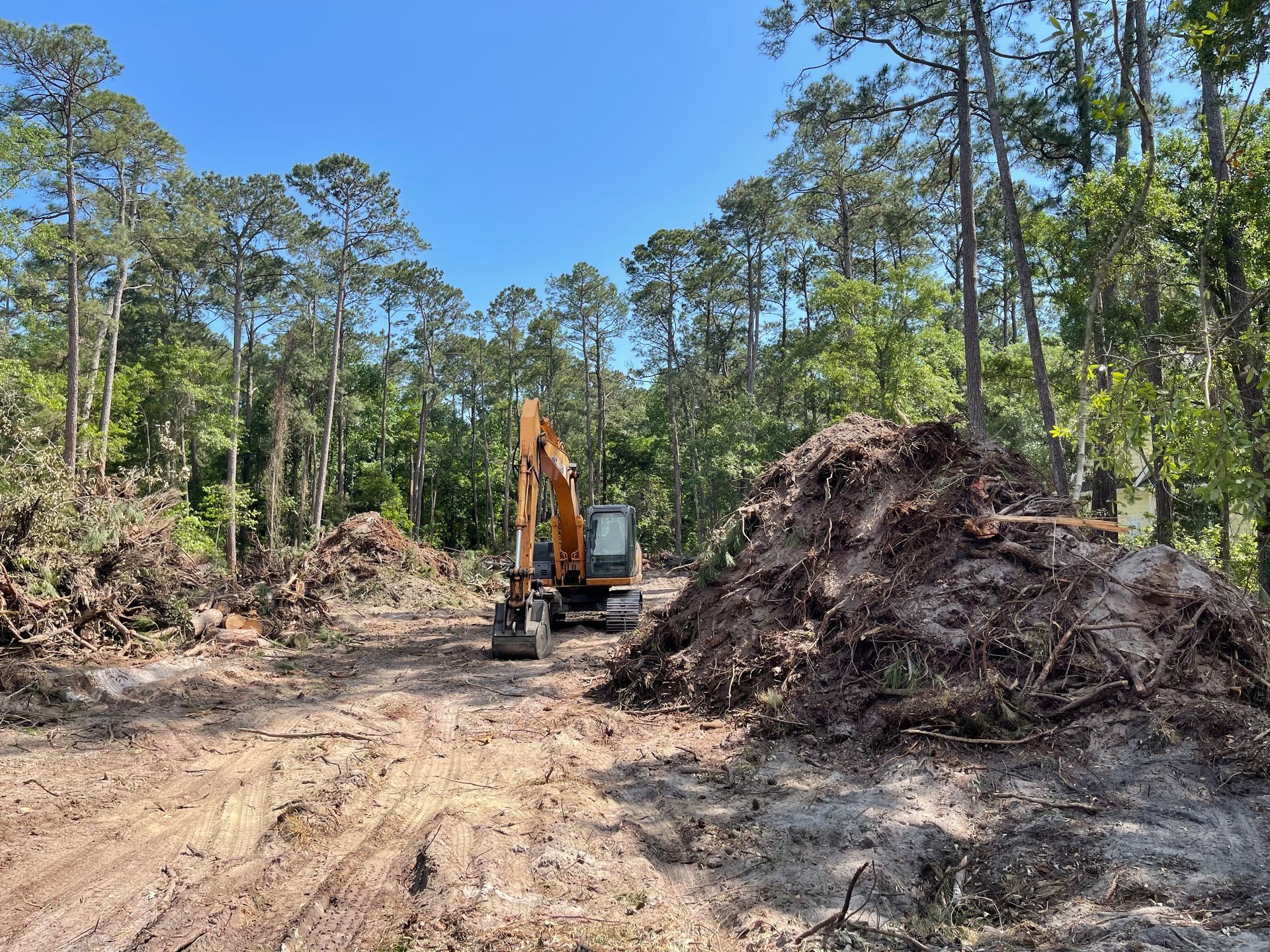 Excavator clears a dirt path through a pine forest next to large piles of uprooted trees and brush.