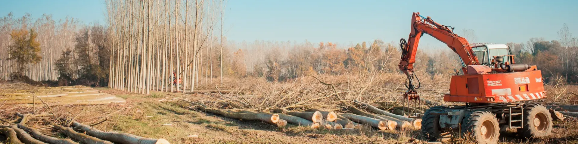 Land Clearing Guide: Cost, Methods & Permits | Kansas