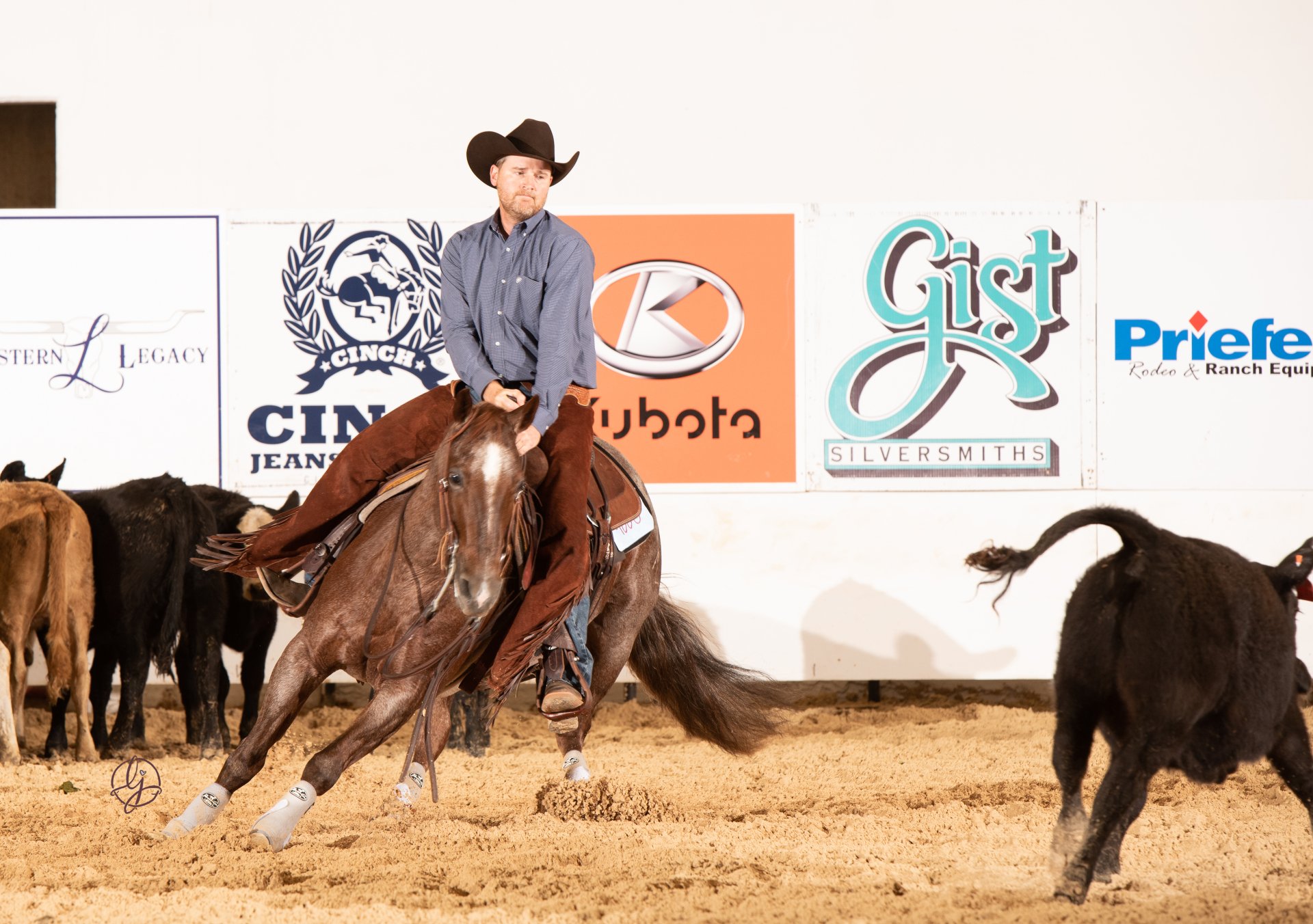 Carny Ranch Home Of Weiss Performance Horses