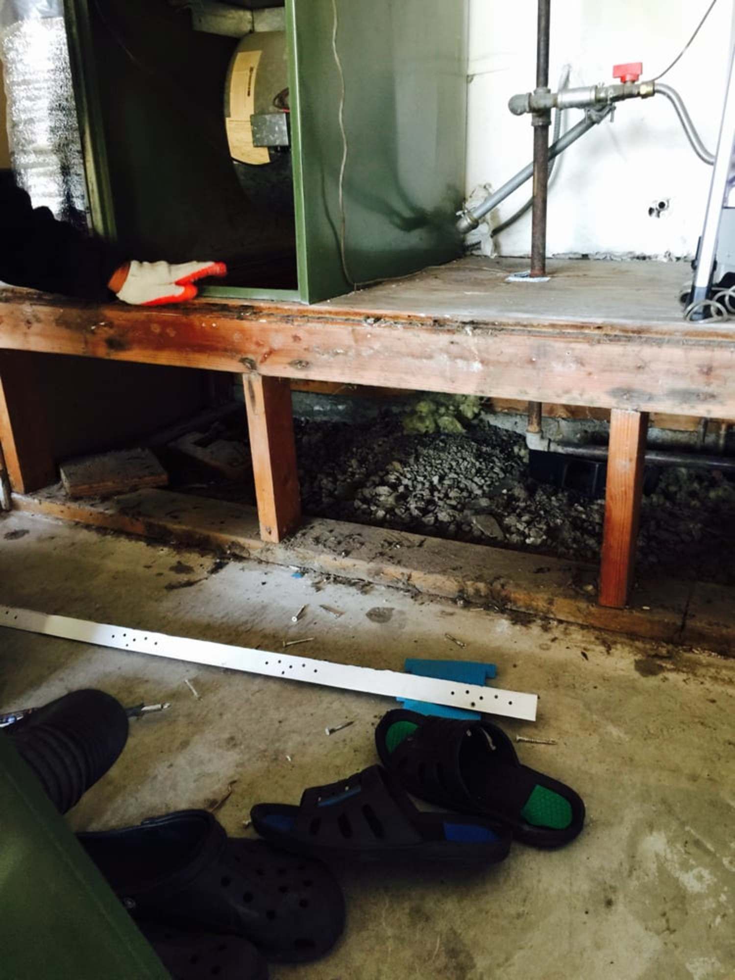 Interior wall removal to locate source of dead animal smell
