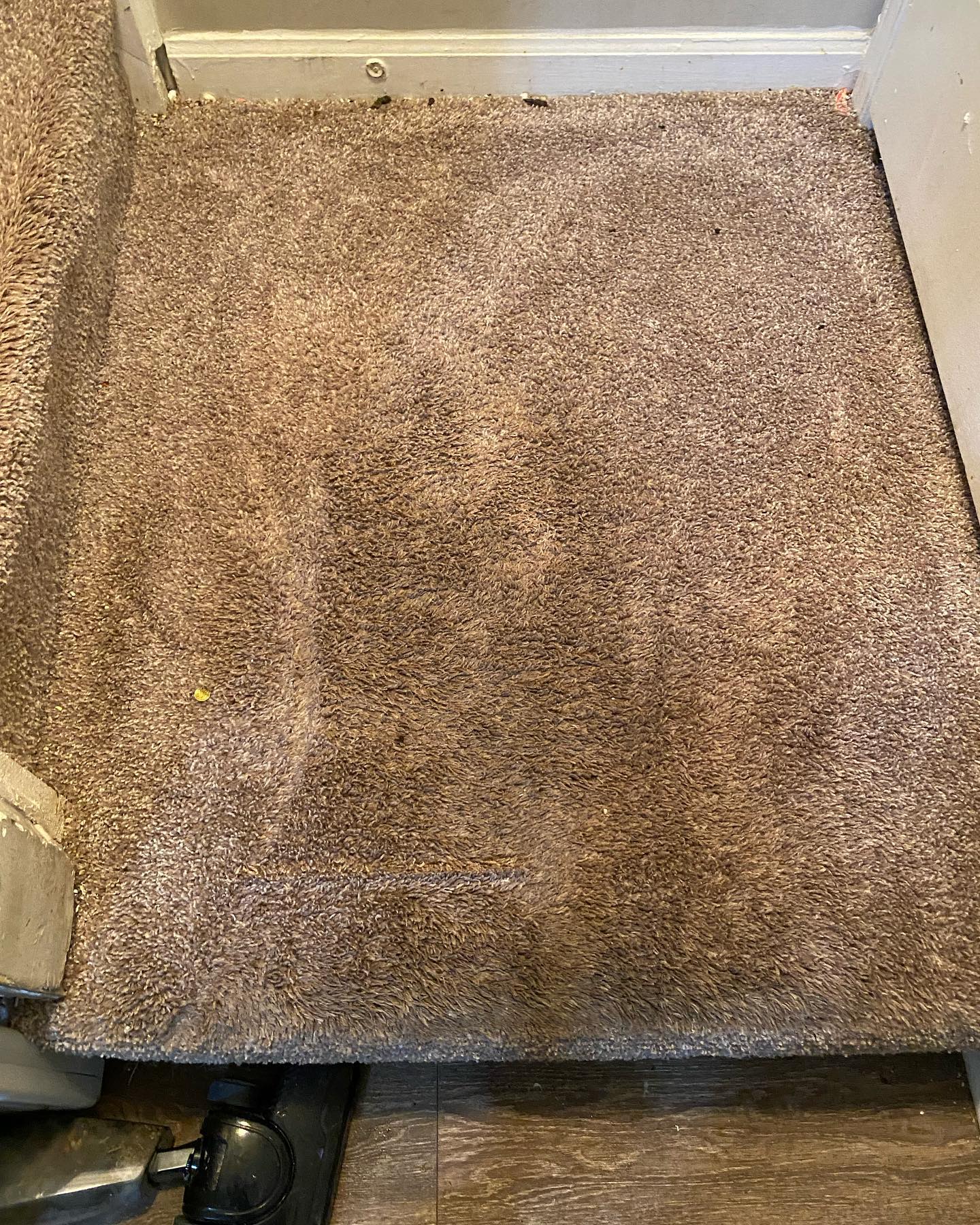 Thecleaning_wiz, Gwinnett County GA, Sugar Hill GA, Suwanee GA, Duluth GA, Berkeley Lake GA, Norcross GA, Buford GA, Lawrenceville GA, Grayson GA, Snellville GA, Cumming GA, Loganville GA, Alpharetta GA, Dekalb County GA, Doraville GA, Embry Hill GA, Tucker GA, Atlanta GA, Druid Hills HA, Decatur GA, Carpet Cleaning, Carpet Cleaning Near Me, Air Duct Cleaning, Air Duct Cleaning Near Me, Mattress Cleaning, Mattress Cleaning Near Me, Upholstery Cleaning, Upholstery Cleaning Near Me, Sofa Cleaning, Sofa Cleaning Near Me, Love Seat Cleaning, Love Seat Cleaning Near Me, Dryer Vent Cleaning, Dryer Vent Cleaning Near Me,Rug Cleaning , Rug Cleaning Near Me, Commercial Carpet Cleaning, Commercial Carpet Cleaning Near Me, Commercial Air Duct Cleaning, Commercial Air Duct Cleaning Near Me, Office Carpet Cleaning, Office Carpet Cleaning Near Me, Office Rug Cleaning, Office Rug Cleaning Near Me, Restaurant Carpet Cleaning, Restaurant Carpet Cleaning Near Me
