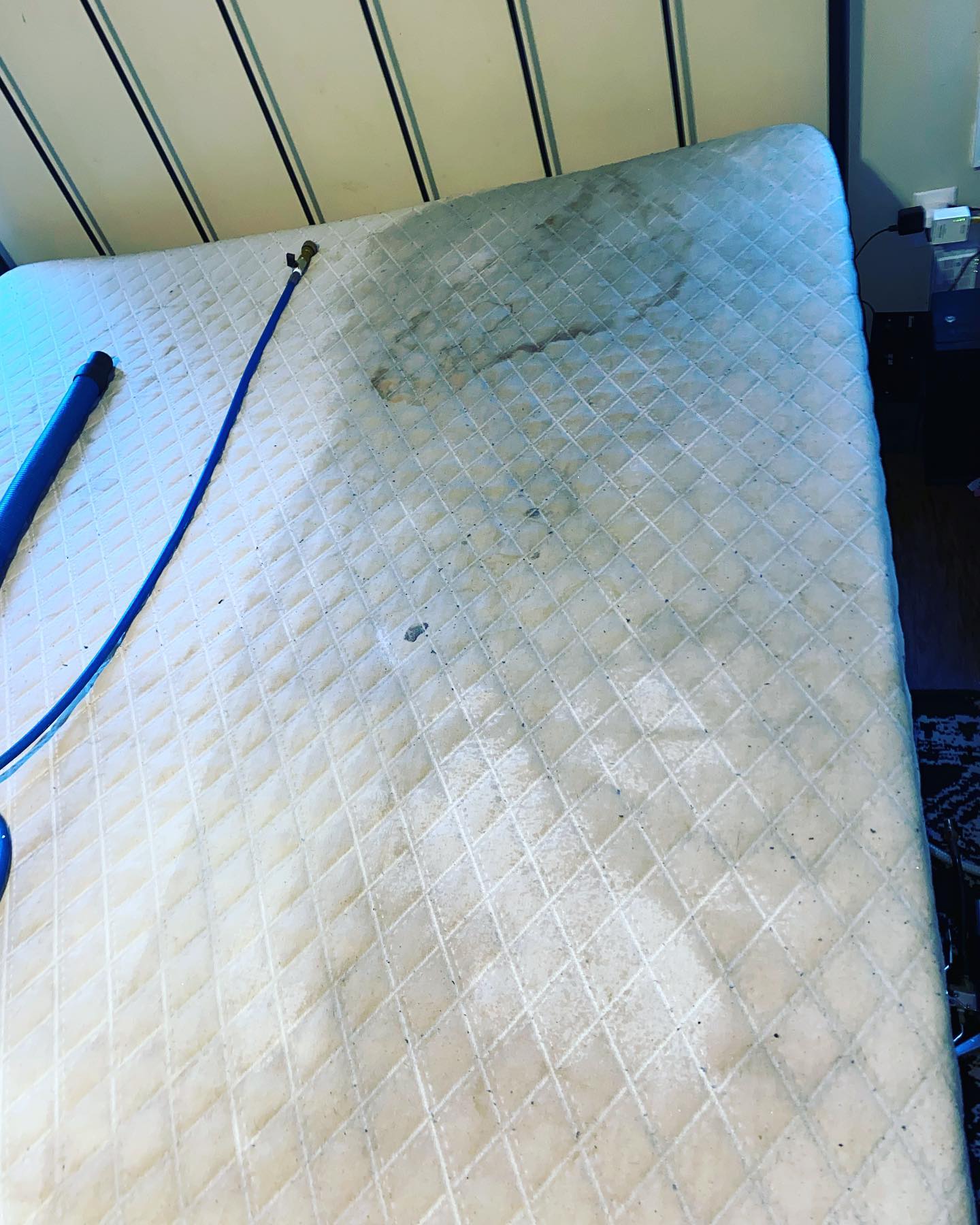 Thecleaning_wiz, Gwinnett County GA, Sugar Hill GA, Suwanee GA, Duluth GA, Berkeley Lake GA, Norcross GA, Buford GA, Lawrenceville GA, Grayson GA, Snellville GA, Cumming GA, Loganville GA, Alpharetta GA, Dekalb County GA, Doraville GA, Embry Hill GA, Tucker GA, Atlanta GA, Druid Hills HA, Decatur GA, Carpet Cleaning, Carpet Cleaning Near Me, Air Duct Cleaning, Air Duct Cleaning Near Me, Mattress Cleaning, Mattress Cleaning Near Me, Upholstery Cleaning, Upholstery Cleaning Near Me, Sofa Cleaning, Sofa Cleaning Near Me, Love Seat Cleaning, Love Seat Cleaning Near Me, Dryer Vent Cleaning, Dryer Vent Cleaning Near Me,Rug Cleaning , Rug Cleaning Near Me, Commercial Carpet Cleaning, Commercial Carpet Cleaning Near Me, Commercial Air Duct Cleaning, Commercial Air Duct Cleaning Near Me, Office Carpet Cleaning, Office Carpet Cleaning Near Me, Office Rug Cleaning, Office Rug Cleaning Near Me, Restaurant Carpet Cleaning, Restaurant Carpet Cleaning Near Me
