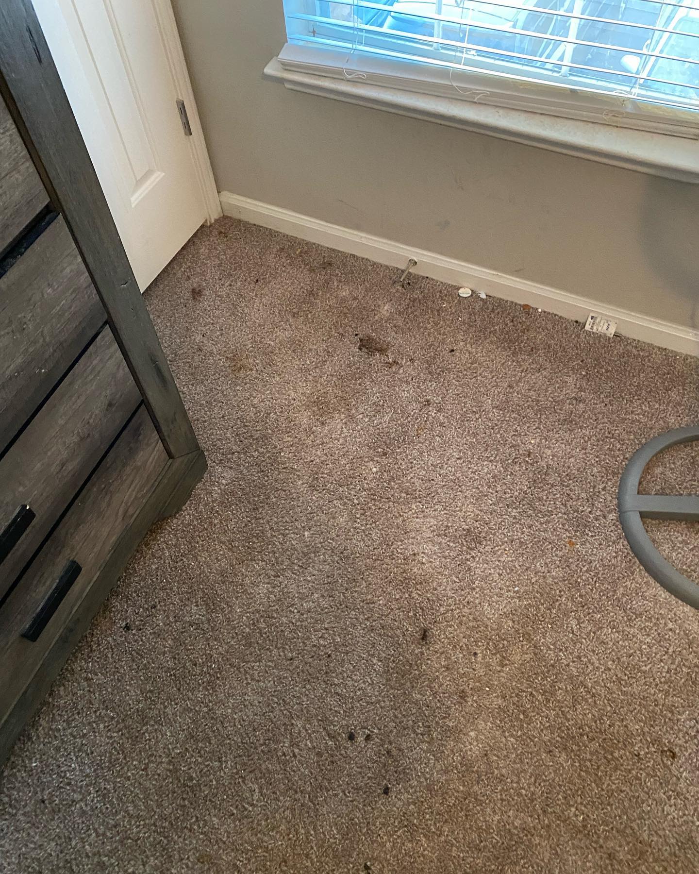 Thecleaning_wiz, Gwinnett County GA, Sugar Hill GA, Suwanee GA, Duluth GA, Berkeley Lake GA, Norcross GA, Buford GA, Lawrenceville GA, Grayson GA, Snellville GA, Cumming GA, Loganville GA, Alpharetta GA, Dekalb County GA, Doraville GA, Embry Hill GA, Tucker GA, Atlanta GA, Druid Hills HA, Decatur GA, Carpet Cleaning, Carpet Cleaning Near Me, Air Duct Cleaning, Air Duct Cleaning Near Me, Mattress Cleaning, Mattress Cleaning Near Me, Upholstery Cleaning, Upholstery Cleaning Near Me, Sofa Cleaning, Sofa Cleaning Near Me, Love Seat Cleaning, Love Seat Cleaning Near Me, Dryer Vent Cleaning, Dryer Vent Cleaning Near Me,Rug Cleaning , Rug Cleaning Near Me, Commercial Carpet Cleaning, Commercial Carpet Cleaning Near Me, Commercial Air Duct Cleaning, Commercial Air Duct Cleaning Near Me, Office Carpet Cleaning, Office Carpet Cleaning Near Me, Office Rug Cleaning, Office Rug Cleaning Near Me, Restaurant Carpet Cleaning, Restaurant Carpet Cleaning Near Me