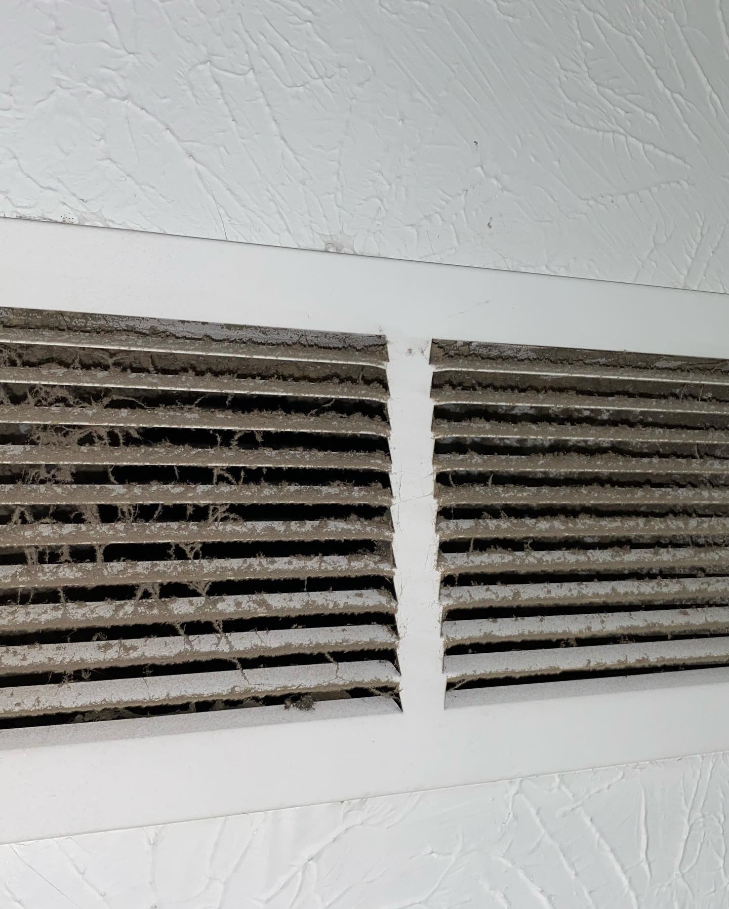 Thecleaning_wiz, Gwinnett County GA, Sugar Hill GA, Suwanee GA, Duluth GA, Berkeley Lake GA, Norcross GA, Buford GA, Lawrenceville GA, Grayson GA, Snellville GA, Cumming GA, Loganville GA, Alpharetta GA, Dekalb County GA, Doraville GA, Embry Hill GA, Tucker GA, Atlanta GA, Druid Hills HA, Decatur GA, Carpet Cleaning, Carpet Cleaning Near Me, Air Duct Cleaning, Air Duct Cleaning Near Me, Mattress Cleaning, Mattress Cleaning Near Me, Upholstery Cleaning, Upholstery Cleaning Near Me, Sofa Cleaning, Sofa Cleaning Near Me, Love Seat Cleaning, Love Seat Cleaning Near Me, Dryer Vent Cleaning, Dryer Vent Cleaning Near Me,Rug Cleaning , Rug Cleaning Near Me, Commercial Carpet Cleaning, Commercial Carpet Cleaning Near Me, Commercial Air Duct Cleaning, Commercial Air Duct Cleaning Near Me, Office Carpet Cleaning, Office Carpet Cleaning Near Me, Office Rug Cleaning, Office Rug Cleaning Near Me, Restaurant Carpet Cleaning, Restaurant Carpet Cleaning Near Me
