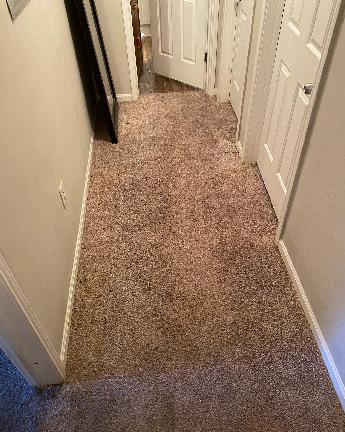 Thecleaning_wiz, Gwinnett County GA, Sugar Hill GA, Suwanee GA, Duluth GA, Berkeley Lake GA, Norcross GA, Buford GA, Lawrenceville GA, Grayson GA, Snellville GA, Cumming GA, Loganville GA, Alpharetta GA, Dekalb County GA, Doraville GA, Embry Hill GA, Tucker GA, Atlanta GA, Druid Hills HA, Decatur GA, Carpet Cleaning, Carpet Cleaning Near Me, Air Duct Cleaning, Air Duct Cleaning Near Me, Mattress Cleaning, Mattress Cleaning Near Me, Upholstery Cleaning, Upholstery Cleaning Near Me, Sofa Cleaning, Sofa Cleaning Near Me, Love Seat Cleaning, Love Seat Cleaning Near Me, Dryer Vent Cleaning, Dryer Vent Cleaning Near Me,Rug Cleaning , Rug Cleaning Near Me, Commercial Carpet Cleaning, Commercial Carpet Cleaning Near Me, Commercial Air Duct Cleaning, Commercial Air Duct Cleaning Near Me, Office Carpet Cleaning, Office Carpet Cleaning Near Me, Office Rug Cleaning, Office Rug Cleaning Near Me, Restaurant Carpet Cleaning, Restaurant Carpet Cleaning Near Me
