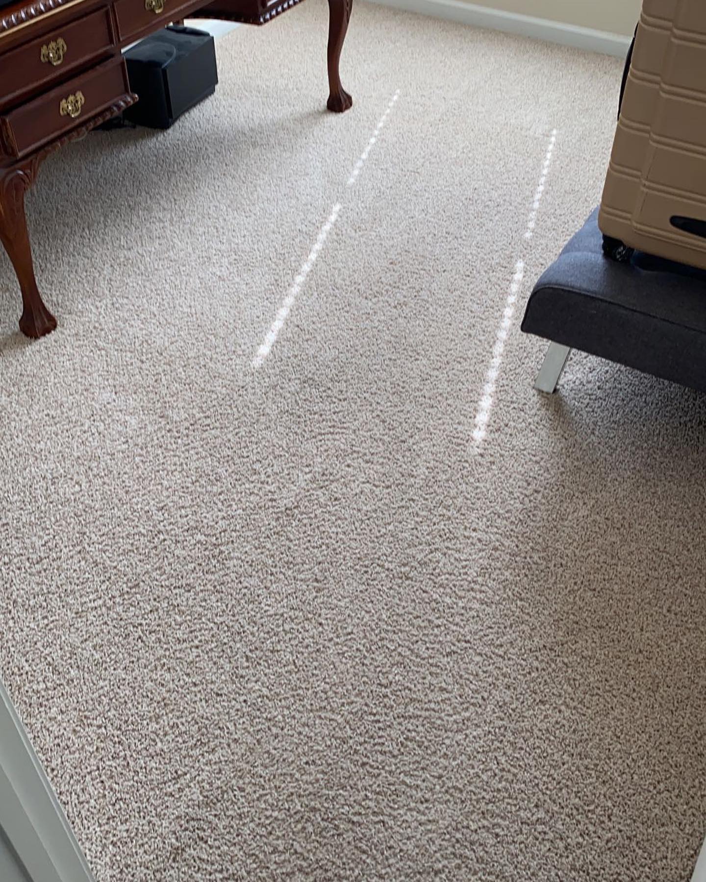 Thecleaning_wiz, Gwinnett County GA, Sugar Hill GA, Suwanee GA, Duluth GA, Berkeley Lake GA, Norcross GA, Buford GA, Lawrenceville GA, Grayson GA, Snellville GA, Cumming GA, Loganville GA, Alpharetta GA, Dekalb County GA, Doraville GA, Embry Hill GA, Tucker GA, Atlanta GA, Druid Hills HA, Decatur GA, Carpet Cleaning, Carpet Cleaning Near Me, Air Duct Cleaning, Air Duct Cleaning Near Me, Mattress Cleaning, Mattress Cleaning Near Me, Upholstery Cleaning, Upholstery Cleaning Near Me, Sofa Cleaning, Sofa Cleaning Near Me, Love Seat Cleaning, Love Seat Cleaning Near Me, Dryer Vent Cleaning, Dryer Vent Cleaning Near Me,Rug Cleaning , Rug Cleaning Near Me, Commercial Carpet Cleaning, Commercial Carpet Cleaning Near Me, Commercial Air Duct Cleaning, Commercial Air Duct Cleaning Near Me, Office Carpet Cleaning, Office Carpet Cleaning Near Me, Office Rug Cleaning, Office Rug Cleaning Near Me, Restaurant Carpet Cleaning, Restaurant Carpet Cleaning Near Me