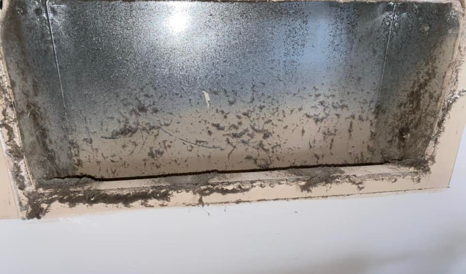 Thecleaning_wiz, Gwinnett County GA, Sugar Hill GA, Suwanee GA, Duluth GA, Berkeley Lake GA, Norcross GA, Buford GA, Lawrenceville GA, Grayson GA, Snellville GA, Cumming GA, Loganville GA, Alpharetta GA, Dekalb County GA, Doraville GA, Embry Hill GA, Tucker GA, Atlanta GA, Druid Hills HA, Decatur GA, Carpet Cleaning, Carpet Cleaning Near Me, Air Duct Cleaning, Air Duct Cleaning Near Me, Mattress Cleaning, Mattress Cleaning Near Me, Upholstery Cleaning, Upholstery Cleaning Near Me, Sofa Cleaning, Sofa Cleaning Near Me, Love Seat Cleaning, Love Seat Cleaning Near Me, Dryer Vent Cleaning, Dryer Vent Cleaning Near Me,Rug Cleaning , Rug Cleaning Near Me, Commercial Carpet Cleaning, Commercial Carpet Cleaning Near Me, Commercial Air Duct Cleaning, Commercial Air Duct Cleaning Near Me, Office Carpet Cleaning, Office Carpet Cleaning Near Me, Office Rug Cleaning, Office Rug Cleaning Near Me, Restaurant Carpet Cleaning, Restaurant Carpet Cleaning Near Me