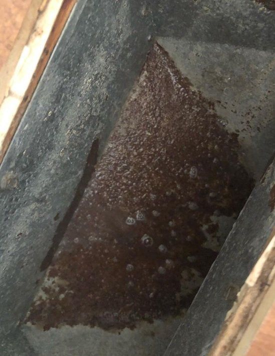 Thecleaning_wiz, Gwinnett County GA, Sugar Hill GA, Suwanee GA, Duluth GA, Berkeley Lake GA, Norcross GA, Buford GA, Lawrenceville GA, Grayson GA, Snellville GA, Cumming GA, Loganville GA, Alpharetta GA, Dekalb County GA, Doraville GA, Embry Hill GA, Tucker GA, Atlanta GA, Druid Hills HA, Decatur GA, Carpet Cleaning, Carpet Cleaning Near Me, Air Duct Cleaning, Air Duct Cleaning Near Me, Mattress Cleaning, Mattress Cleaning Near Me, Upholstery Cleaning, Upholstery Cleaning Near Me, Sofa Cleaning, Sofa Cleaning Near Me, Love Seat Cleaning, Love Seat Cleaning Near Me, Dryer Vent Cleaning, Dryer Vent Cleaning Near Me,Rug Cleaning , Rug Cleaning Near Me, Commercial Carpet Cleaning, Commercial Carpet Cleaning Near Me, Commercial Air Duct Cleaning, Commercial Air Duct Cleaning Near Me, Office Carpet Cleaning, Office Carpet Cleaning Near Me, Office Rug Cleaning, Office Rug Cleaning Near Me, Restaurant Carpet Cleaning, Restaurant Carpet Cleaning Near Me