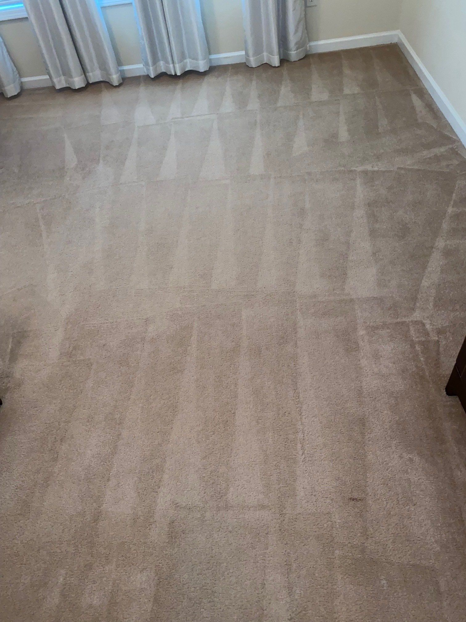 Thecleaning_wiz, Gwinnett County GA, Sugar Hill GA, Suwanee GA, Duluth GA, Berkeley Lake GA, Norcross GA, Buford GA, Lawrenceville GA, Grayson GA, Snellville GA, Cumming GA, Loganville GA, Alpharetta GA, Dekalb County GA, Doraville GA, Embry Hill GA, Tucker GA, Atlanta GA, Druid Hills HA, Decatur GA, Carpet Cleaning, Carpet Cleaning Near Me, Air Duct Cleaning, Air Duct Cleaning Near Me, Mattress Cleaning, Mattress Cleaning Near Me, Upholstery Cleaning, Upholstery Cleaning Near Me, Sofa Cleaning, Sofa Cleaning Near Me, Love Seat Cleaning, Love Seat Cleaning Near Me, Dryer Vent Cleaning, Dryer Vent Cleaning Near Me,Rug Cleaning , Rug Cleaning Near Me, Commercial Carpet Cleaning, Commercial Carpet Cleaning Near Me, Commercial Air Duct Cleaning, Commercial Air Duct Cleaning Near Me, Office Carpet Cleaning, Office Carpet Cleaning Near Me, Office Rug Cleaning, Office Rug Cleaning Near Me, Restaurant Carpet Cleaning, Restaurant Carpet Cleaning Near Me