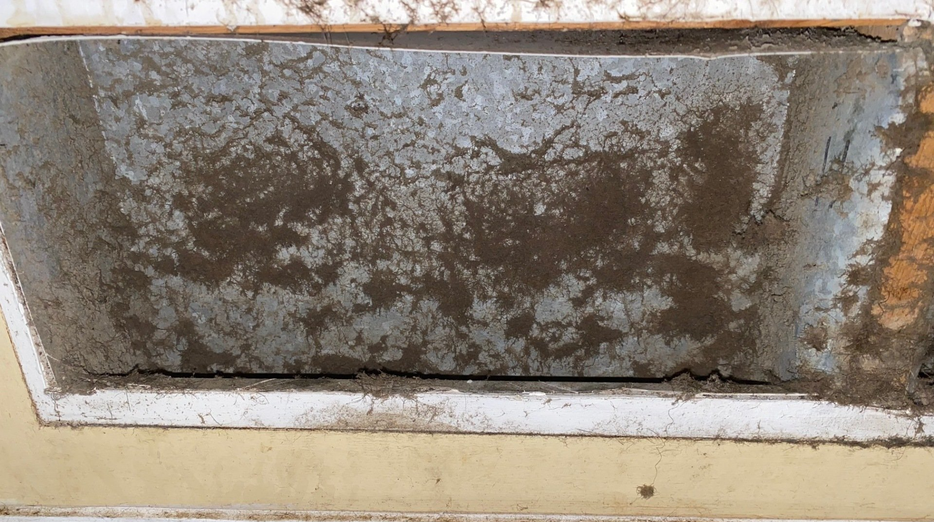 Thecleaning_wiz, Gwinnett County GA, Sugar Hill GA, Suwanee GA, Duluth GA, Berkeley Lake GA, Norcross GA, Buford GA, Lawrenceville GA, Grayson GA, Snellville GA, Cumming GA, Loganville GA, Alpharetta GA, Dekalb County GA, Doraville GA, Embry Hill GA, Tucker GA, Atlanta GA, Druid Hills HA, Decatur GA, Carpet Cleaning, Carpet Cleaning Near Me, Air Duct Cleaning, Air Duct Cleaning Near Me, Mattress Cleaning, Mattress Cleaning Near Me, Upholstery Cleaning, Upholstery Cleaning Near Me, Sofa Cleaning, Sofa Cleaning Near Me, Love Seat Cleaning, Love Seat Cleaning Near Me, Dryer Vent Cleaning, Dryer Vent Cleaning Near Me,Rug Cleaning , Rug Cleaning Near Me, Commercial Carpet Cleaning, Commercial Carpet Cleaning Near Me, Commercial Air Duct Cleaning, Commercial Air Duct Cleaning Near Me, Office Carpet Cleaning, Office Carpet Cleaning Near Me, Office Rug Cleaning, Office Rug Cleaning Near Me, Restaurant Carpet Cleaning, Restaurant Carpet Cleaning Near Me