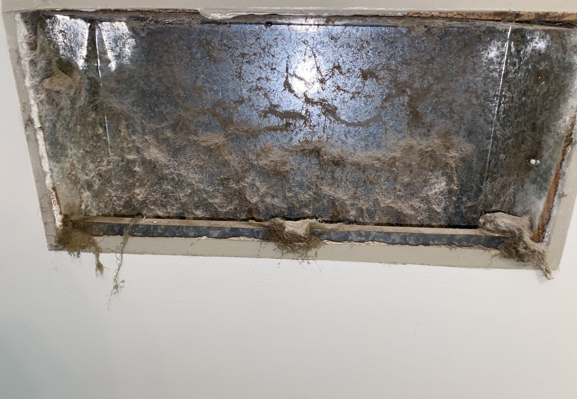 Thecleaning_wiz, Gwinnett County GA, Sugar Hill GA, Suwanee GA, Duluth GA, Berkeley Lake GA, Norcross GA, Buford GA, Lawrenceville GA, Grayson GA, Snellville GA, Cumming GA, Loganville GA, Alpharetta GA, Dekalb County GA, Doraville GA, Embry Hill GA, Tucker GA, Atlanta GA, Druid Hills HA, Decatur GA, Carpet Cleaning, Carpet Cleaning Near Me, Air Duct Cleaning, Air Duct Cleaning Near Me, Mattress Cleaning, Mattress Cleaning Near Me, Upholstery Cleaning, Upholstery Cleaning Near Me, Sofa Cleaning, Sofa Cleaning Near Me, Love Seat Cleaning, Love Seat Cleaning Near Me, Dryer Vent Cleaning, Dryer Vent Cleaning Near Me,Rug Cleaning , Rug Cleaning Near Me, Commercial Carpet Cleaning, Commercial Carpet Cleaning Near Me, Commercial Air Duct Cleaning, Commercial Air Duct Cleaning Near Me, Office Carpet Cleaning, Office Carpet Cleaning Near Me, Office Rug Cleaning, Office Rug Cleaning Near Me, Restaurant Carpet Cleaning, Restaurant Carpet Cleaning Near Me