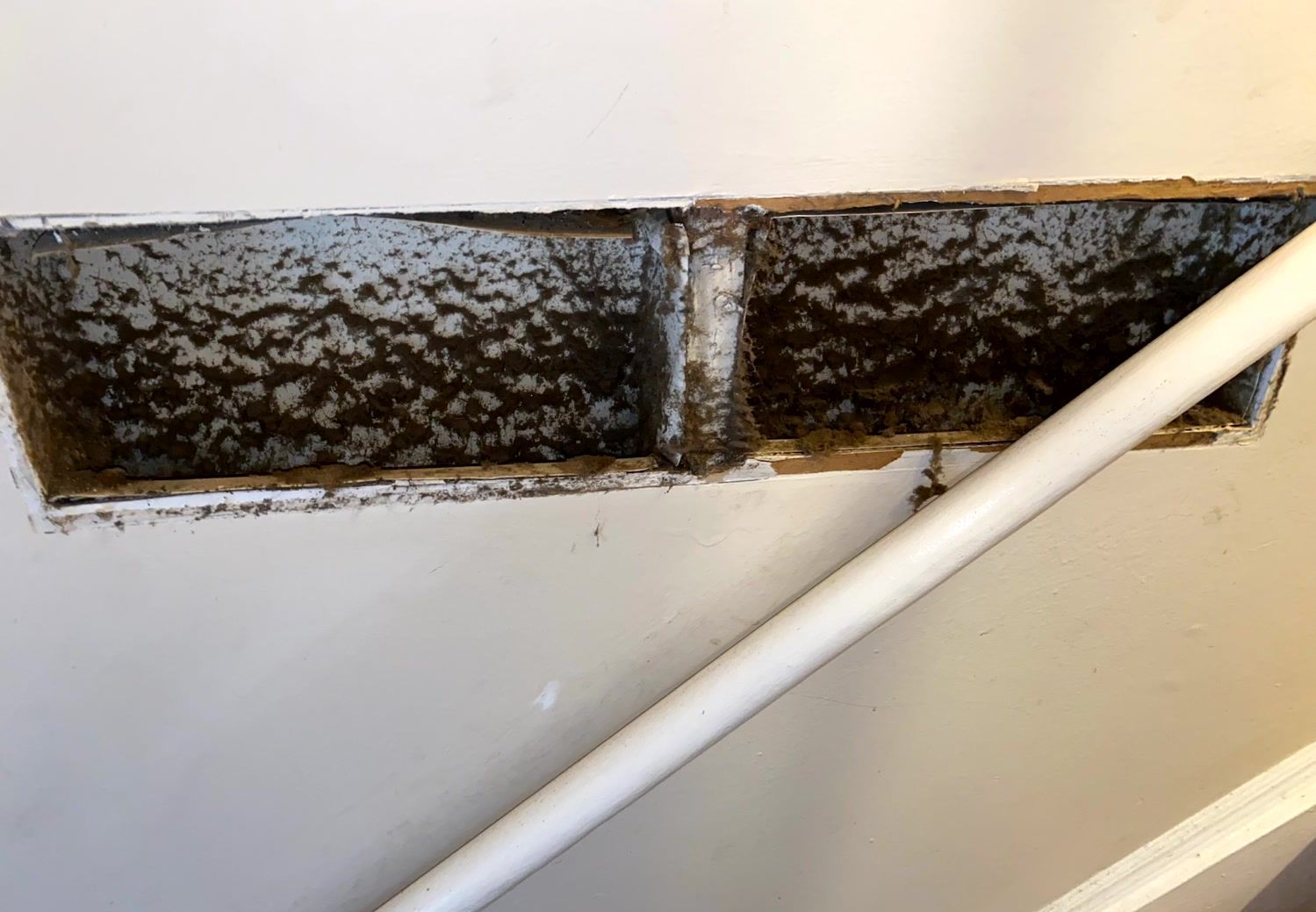 Thecleaning_wiz, Gwinnett County GA, Sugar Hill GA, Suwanee GA, Duluth GA, Berkeley Lake GA, Norcross GA, Buford GA, Lawrenceville GA, Grayson GA, Snellville GA, Cumming GA, Loganville GA, Alpharetta GA, Dekalb County GA, Doraville GA, Embry Hill GA, Tucker GA, Atlanta GA, Druid Hills HA, Decatur GA, Carpet Cleaning, Carpet Cleaning Near Me, Air Duct Cleaning, Air Duct Cleaning Near Me, Mattress Cleaning, Mattress Cleaning Near Me, Upholstery Cleaning, Upholstery Cleaning Near Me, Sofa Cleaning, Sofa Cleaning Near Me, Love Seat Cleaning, Love Seat Cleaning Near Me, Dryer Vent Cleaning, Dryer Vent Cleaning Near Me,Rug Cleaning , Rug Cleaning Near Me, Commercial Carpet Cleaning, Commercial Carpet Cleaning Near Me, Commercial Air Duct Cleaning, Commercial Air Duct Cleaning Near Me, Office Carpet Cleaning, Office Carpet Cleaning Near Me, Office Rug Cleaning, Office Rug Cleaning Near Me, Restaurant Carpet Cleaning, Restaurant Carpet Cleaning Near Me