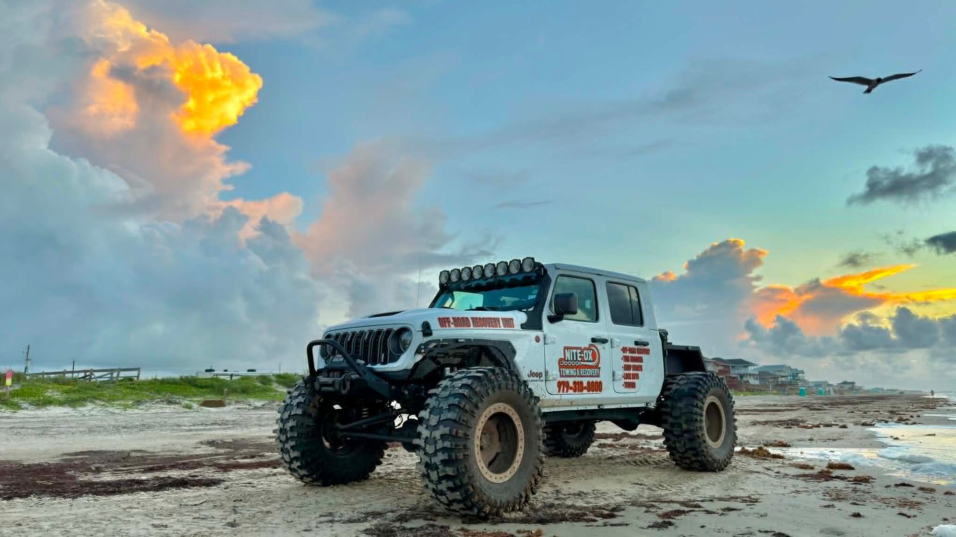 Off-road Jeep on a sandy beach at sunset with clouds and a bird overhead